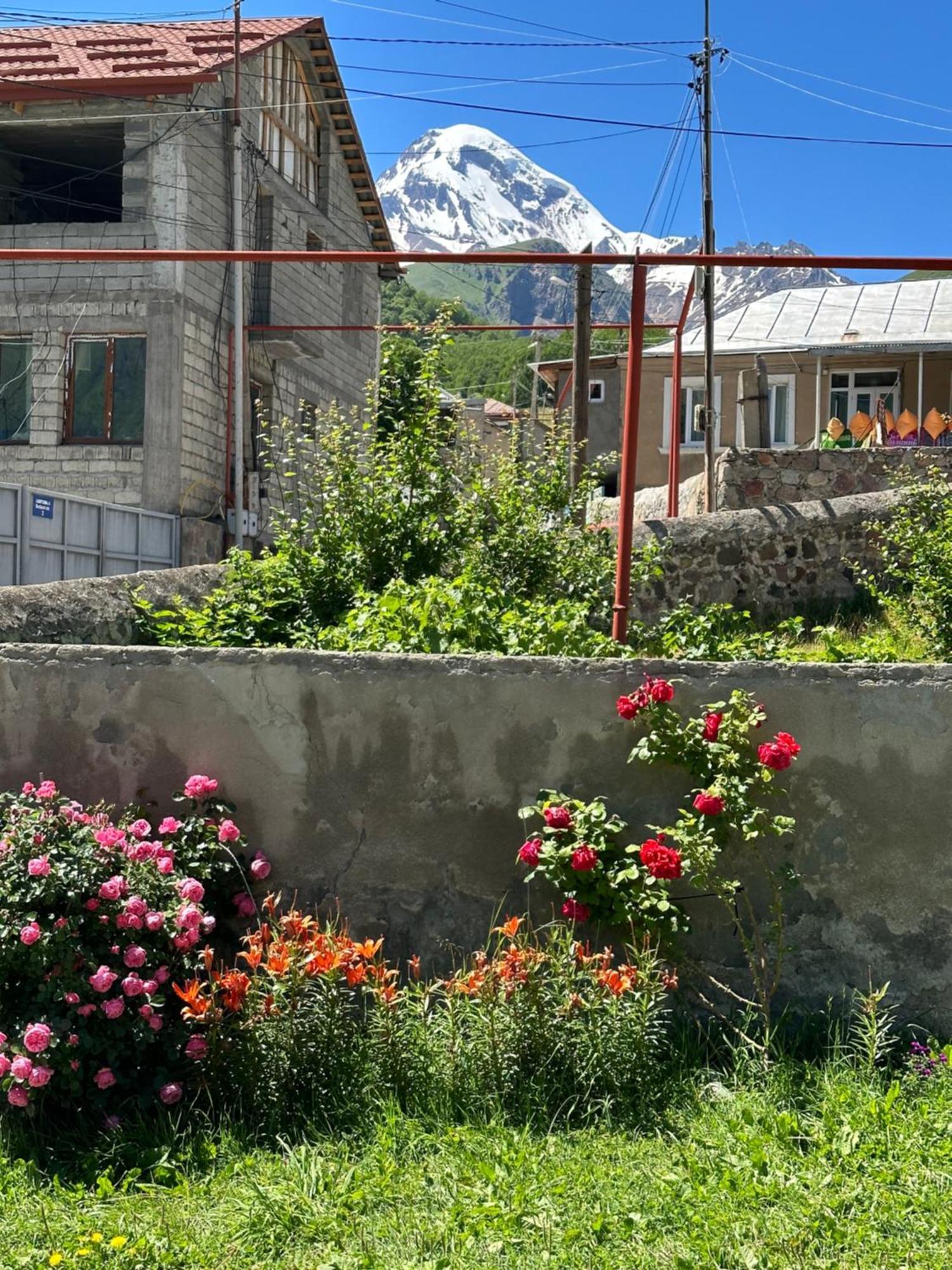 Polaris Kazbegi Otel Dış mekan fotoğraf